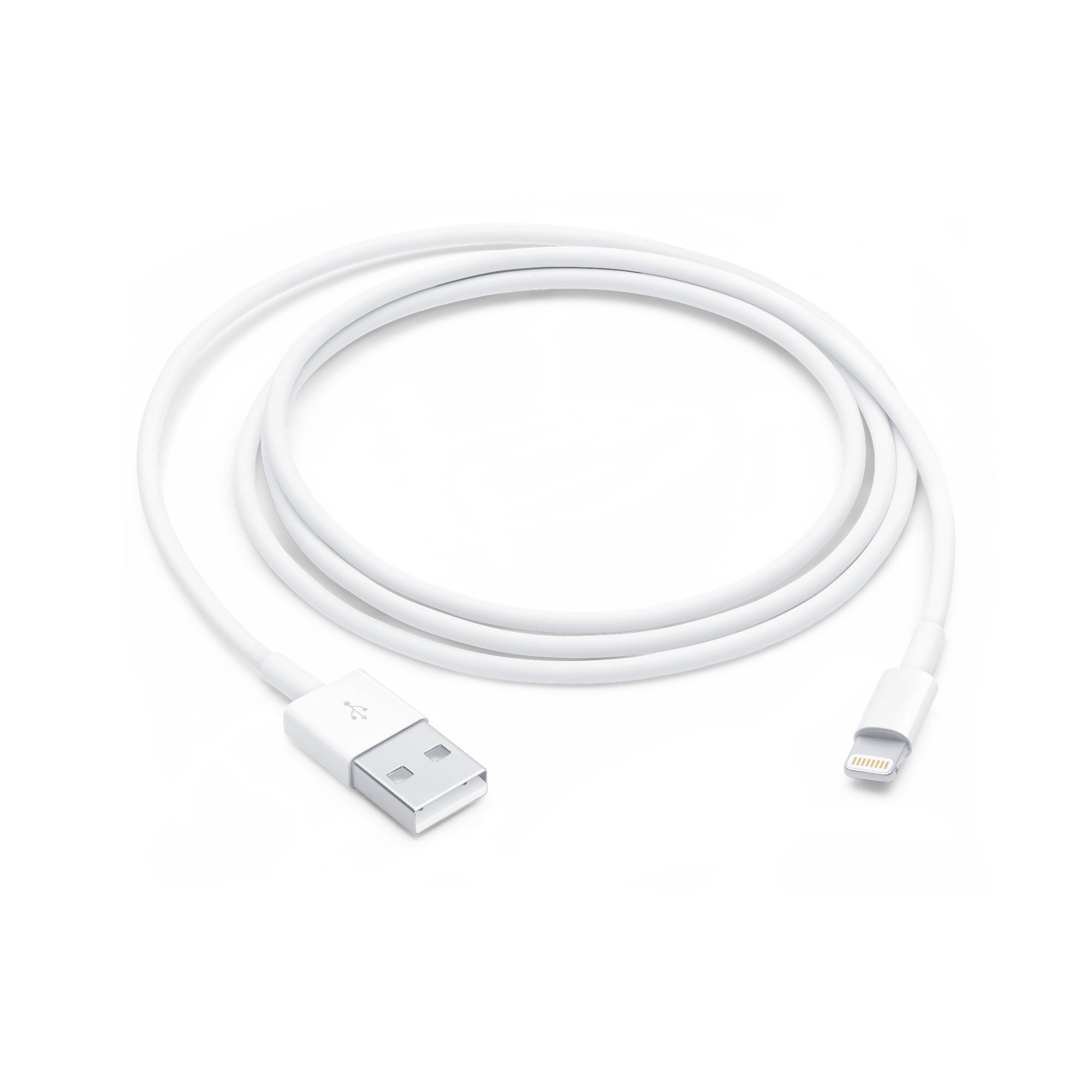 Apple Lightning to USB Cable (4ft)