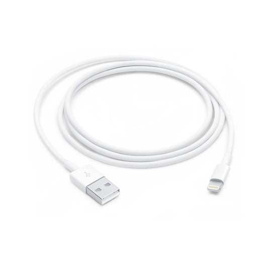 Apple Lightning to USB Cable (4ft)