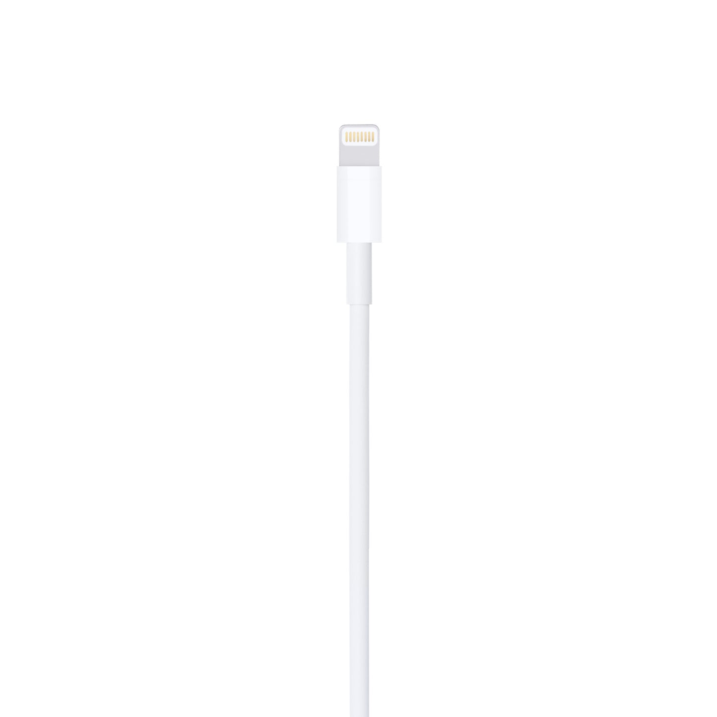 Apple Lightning to USB Cable (4ft)