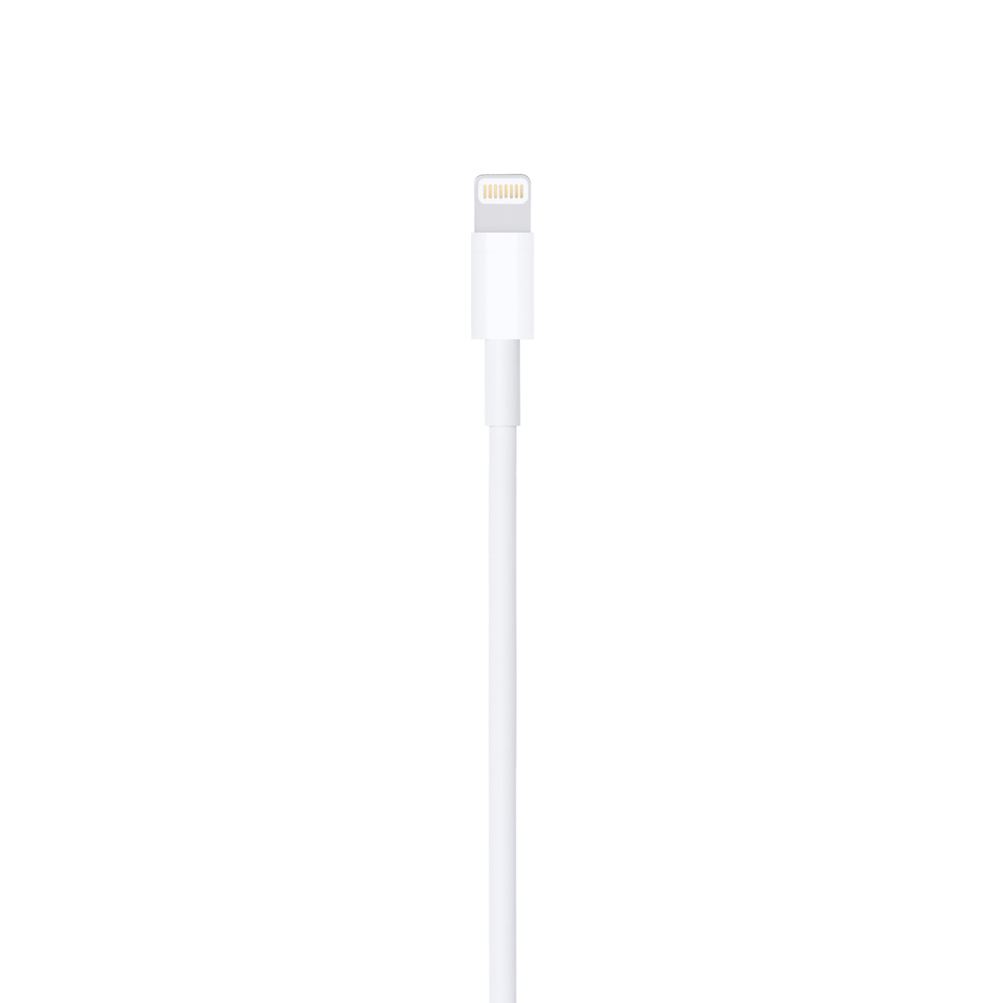 Apple Lightning to USB Cable (4ft)