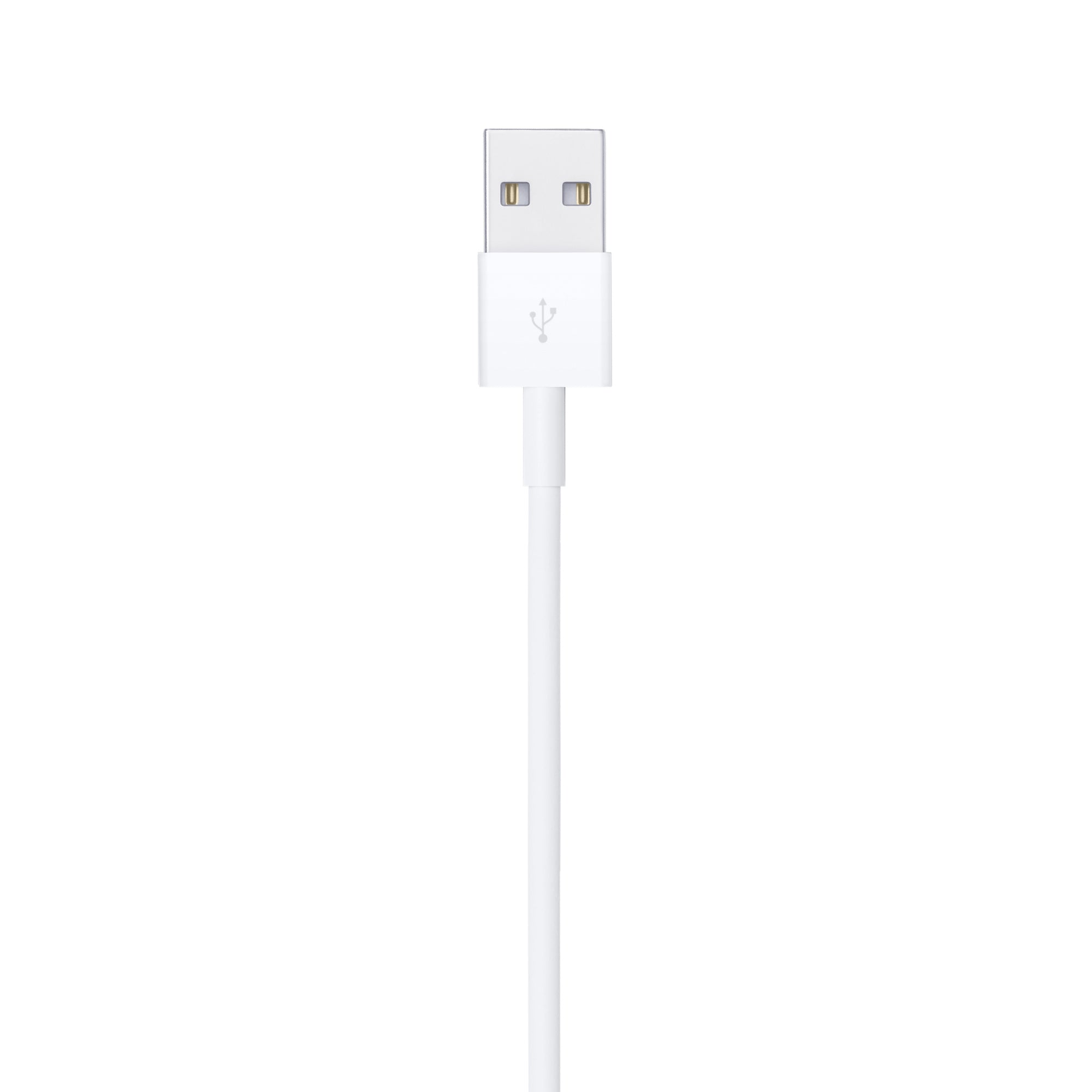 Apple Lightning to USB Cable (4ft)