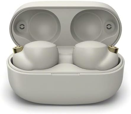 Sony WF-1000XM4 Industry Leading Noise Canceling Truly Wireless Earbud Headphones with Alexa Built-in (Open Box)