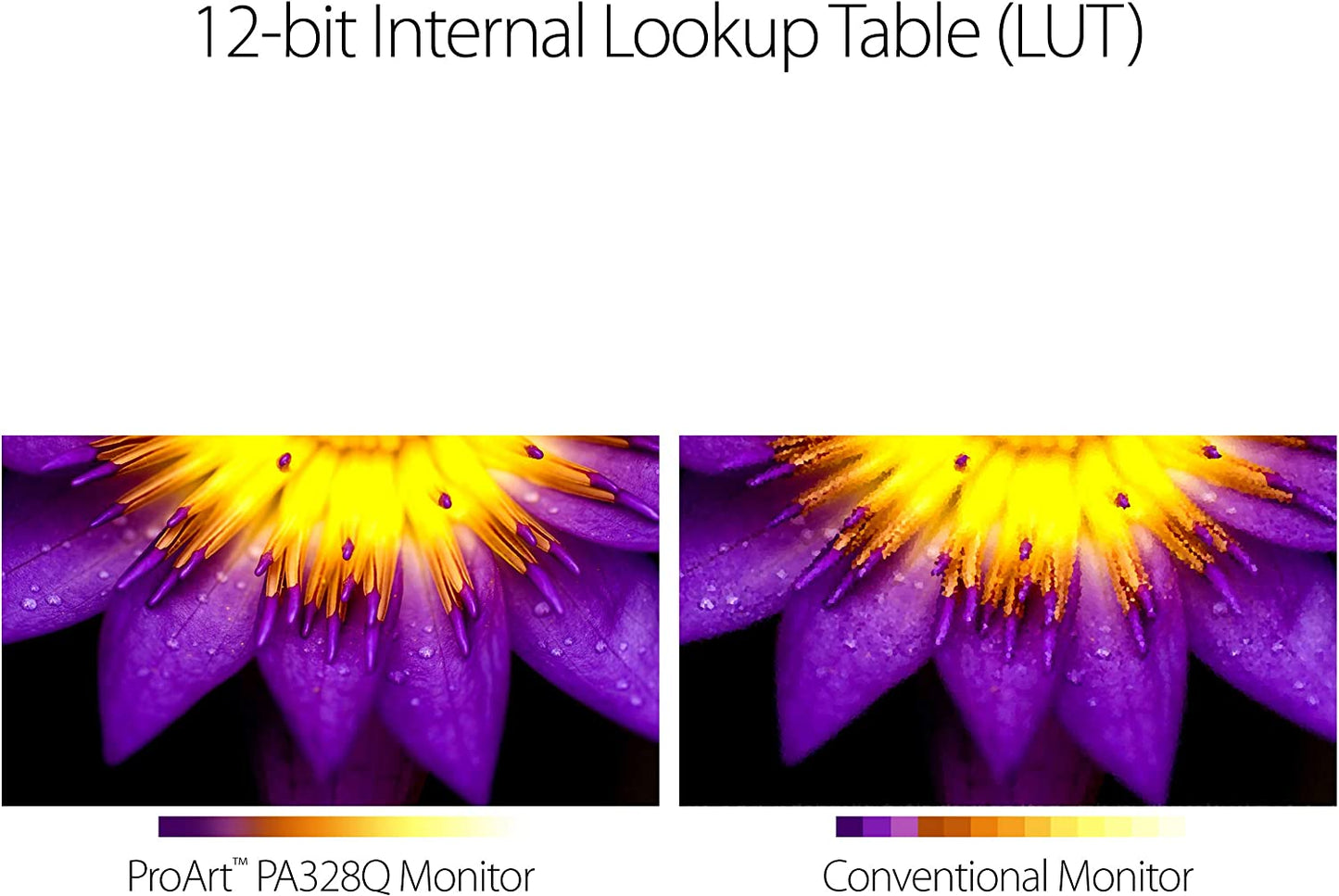 ASUS ProArt PA328Q Professional Monitor - 32" 4K UHD(3840 x 2160), IPS, Colour Accuracy △E< 2, Flicker free (Certified Refurbished)