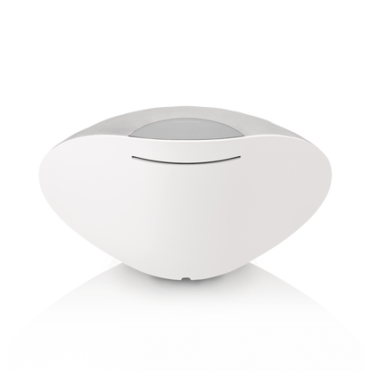 Bowers & Wilkins Formation Wedge Powered Wireless Speaker (Certified Refurbished)