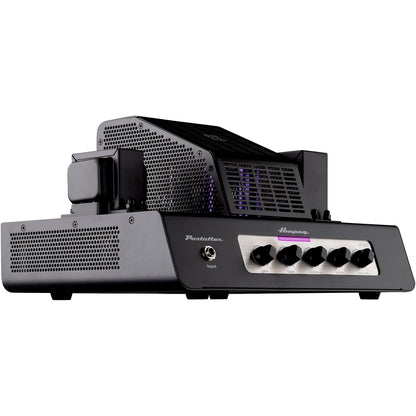 Ampeg Portaflex PF-20T Bass Amplifier Head (Certified Refurbished)