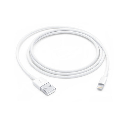 Apple Lightning to USB Cable (4ft)