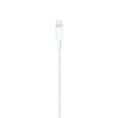 Apple Lightning to USB Cable (4ft)
