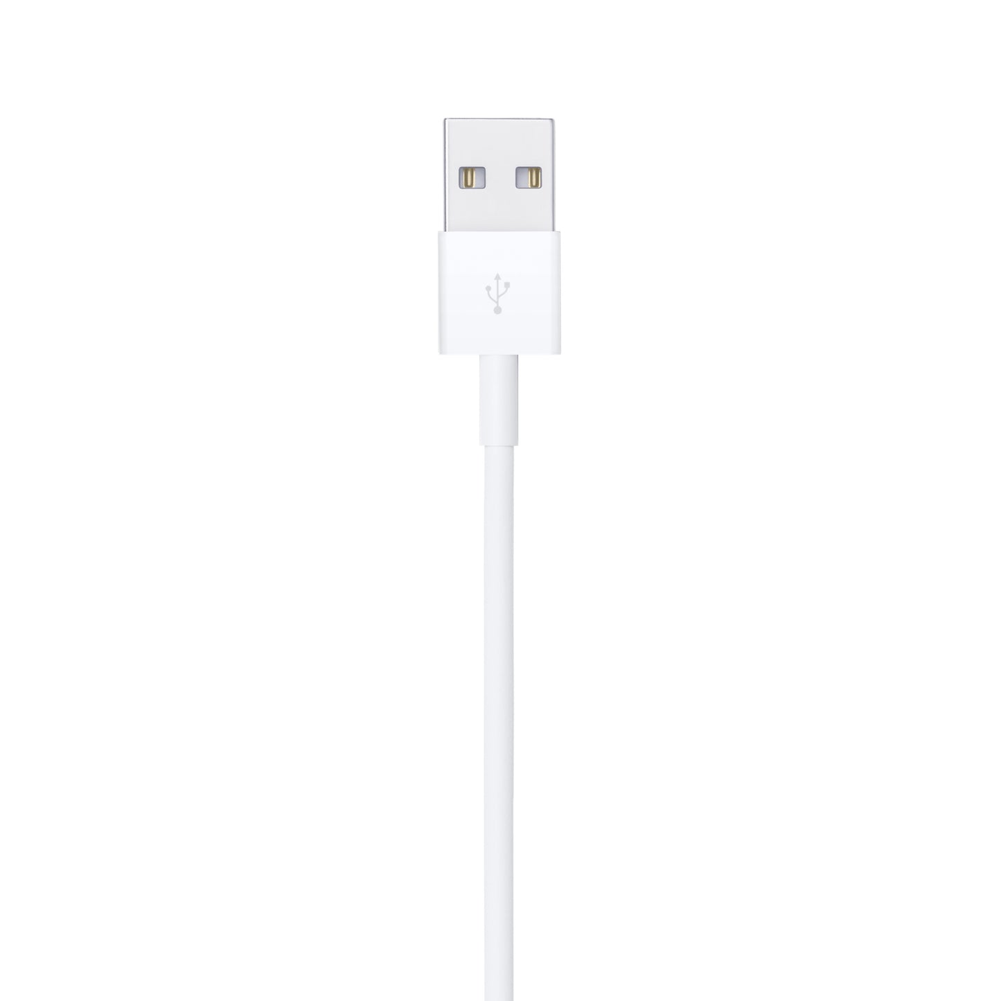Apple Lightning to USB Cable (4ft)