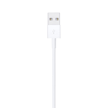 Apple Lightning to USB Cable (4ft)