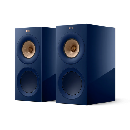 Indigo Gloss